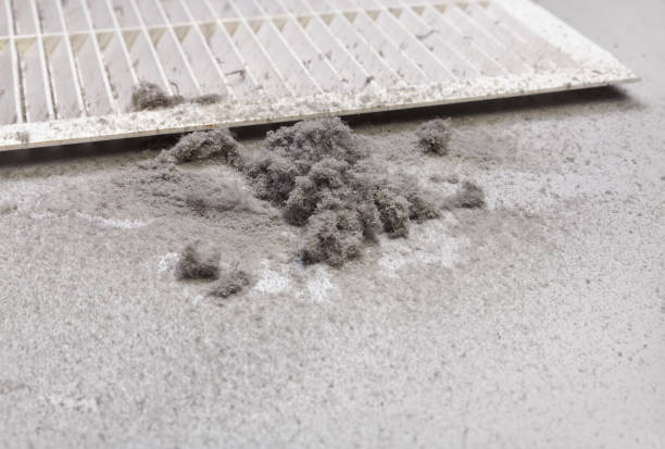 Best Air Duct Sanitizing Services  in Fort Branch, IN