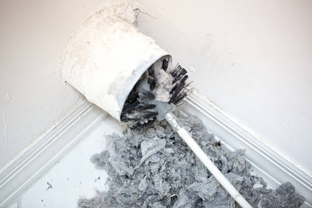 Best Professional Duct Cleaning Services  in Fort Branch, IN